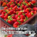 만봉농장 이미지