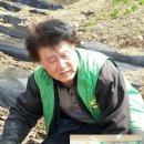 주일농장 이미지