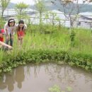 복합환경생태공원 2 이미지