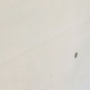 옥동주유소 이미지