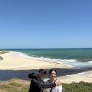 킹스독 | 호주 신혼여행 5일차: 호주 퍼스 피나클스 당일투어 썬스투어 내돈내산 추천후기