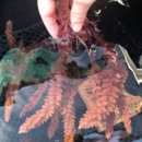 대국축산 이미지