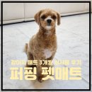 기호인테리어필름 - 수원시 장안구 송정로24번길 16 | 강아지매트 펫테리어의 완성 펫매트 퍼핑매트 폴딩형 3개월 실사용후기