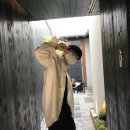 5월이 되었습니다 마피아는 일어나주세요(6월이라 마피아임)
