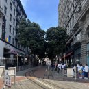 [샌프란시스코 여행 04] 케이블카 타고 피어39 가기, 부댕베이커리 Boudin Bakery 클램차우더 후기