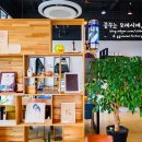 바리깡스타 이미지