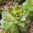 조준농장 이미지