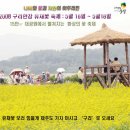 [경기 구리시]구리한강유채꽃축제(2008.05.16 ~ 2008.05.18) 이미지