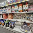 대창파출소 앞 이미지