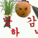 해피크린 이미지
