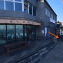 오성농원 | [할머니와 함께하는 제주도 휠체어 여행 5탄] 제주도여행 2일차: 감귤체험·법환포구·산방산·야시장...