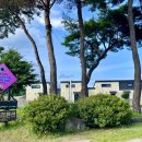 리버스토리 1210 이미지