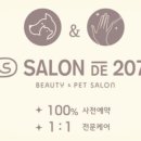 살롱드 207 이미지