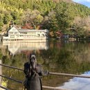 빛나 여행일본어 | 일본여행day1,후쿠오카 공항에서 유후인까지 노모리 기차 타고 간 후기(유노츠보거리,킨린호수,코하루...