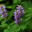 하영올레 3코스 이미지