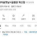 시골통닭&닭강정 이미지