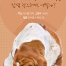 미소동물병원 이미지