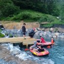 애견친구 이미지