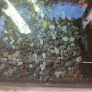 터미널여인숙 이미지