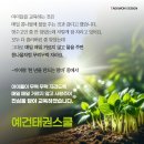 예건태권스쿨 이미지