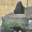 남강초 | [강릉] 2박3일 뚜벅이 여행 루트｜차 없이 떠난 현실 맛집·카페 후기