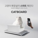 펫비서 이미지