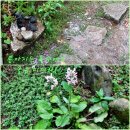 자연마트 이미지