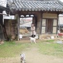 담양 만옹정 이미지