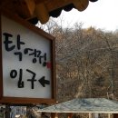 탁영정 이미지