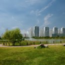 동백부동산공인중개사사무소 이미지