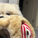 폴리파크 동탄호수공원점 이미지