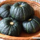 바노마트 이미지