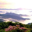 석계역 5번출구 맞은편 이미지