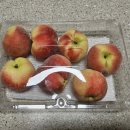 커몽그루밍 이미지