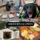 글램313 | 애견동반 글램핑 솔직 후기, 경기도 행주산성 글램313 가족 나들이