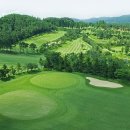 민CC클럽 이미지