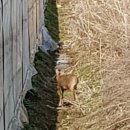 윤씨농장 이미지