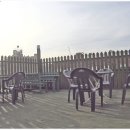 이해진소아청소년과의원 이미지