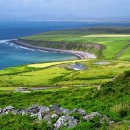 A song of  이미지