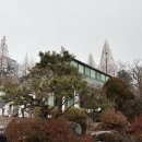 쌍방울애견 이미지