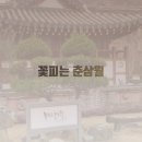 신너릿재터널(화순) | 광주 한옥카페 꽃피는 춘삼월 아이와 함께 가기 좋은 곳