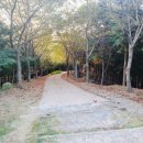 원당산공원 이미지