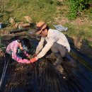 손자농장 이미지