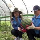 쌍정2리 이미지