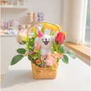 댕이 데이 이미지