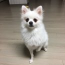 두리커뮤니케이션