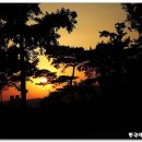 본리동주민센터 이미지