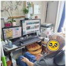 주식회사 복지케어 네이버블로그