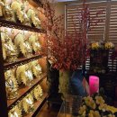 지민상사 | 강남점집 심혈을 기울여 찾은 인생멘토 찐후기