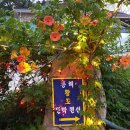 망상힐링펜션 이미지